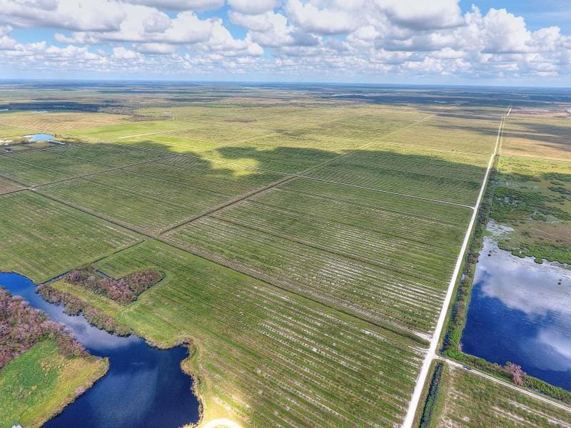 Punta Gorda, Charlotte County, FL Undeveloped Land for sale Property ID: 415271089
