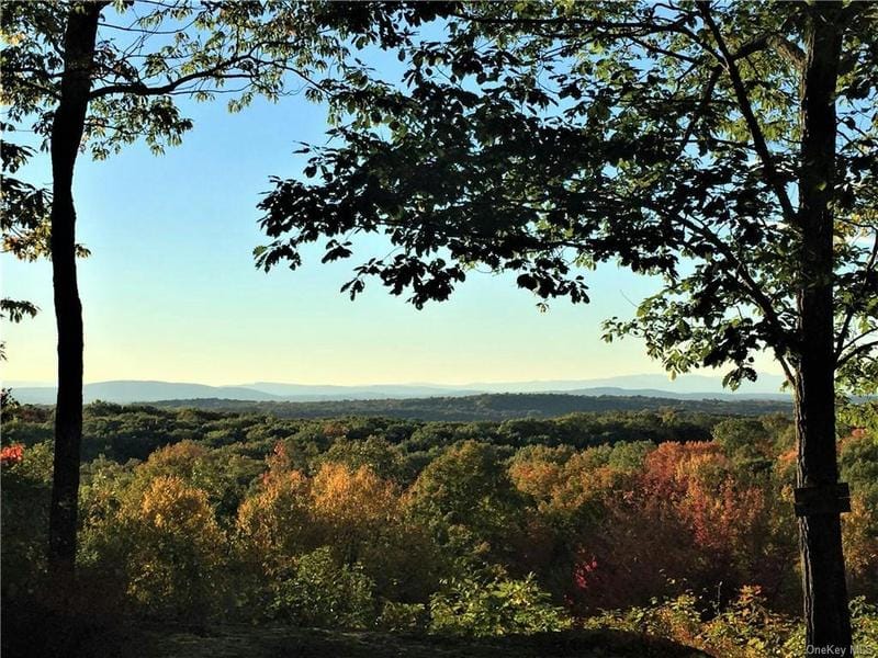 000 SKIDMORE ROAD, Pleasant Valley, NY 12569 Single Family Residence For Sale  MLS# H6262971