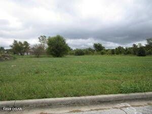 Carthage, Jasper County, MO Commercial Property, Homesites for sale Property ID: 415935019