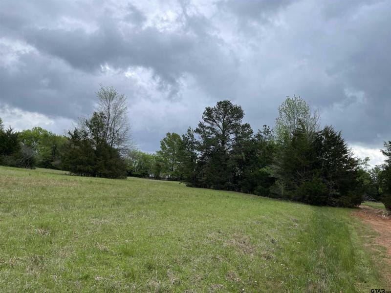 19 HUNTERS HOLW, Mt Vernon, TX 75457 Land For Sale  MLS# 23003812