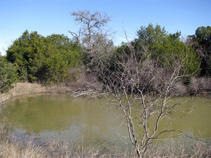 Lot 3 Ph 6 County Road 421, EVANT, TX 76525 for Sale