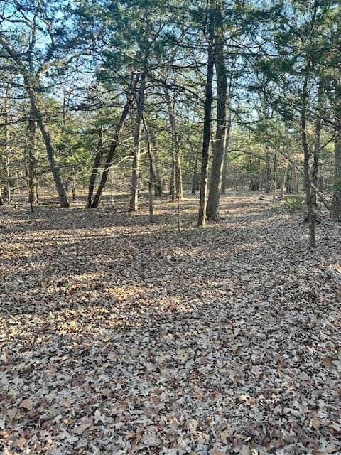 TBD Brandy Ln, Quinlan, TX 75474 for Sale