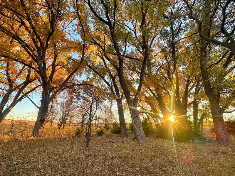 Hill City, Graham County, KS Farms and Ranches, Recreational Property, Hunting Property for sale Property ID: 418522453