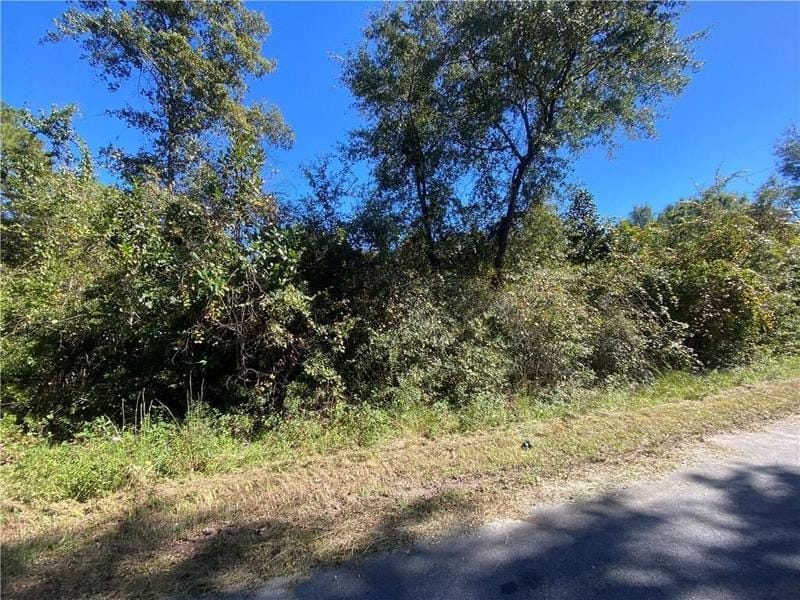 Jesup, Wayne County, GA Undeveloped Land, Homesites for sale Property ID: 418055900