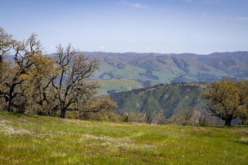 26 LONG RIDGE TRL, CARMEL, CA 93923 Land For Sale  MLS# ML81920853