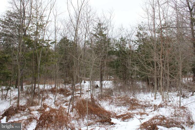 LOT 178 MAJESTIC VIEW LANE, ROMNEY, WV 26757  618633338 for Sale