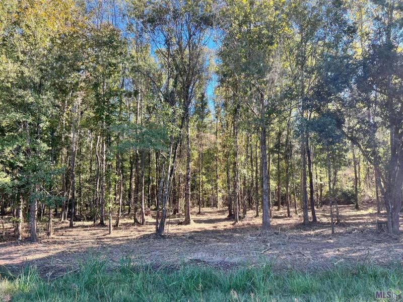 SF-10 LA HWY 16, Denham Springs, LA 70706 Land For Sale  MLS# 2023017044
