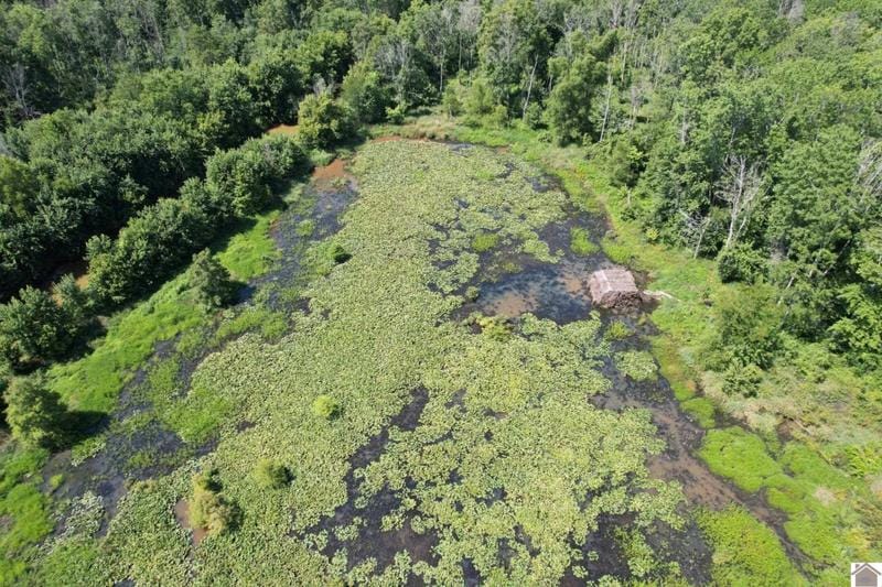 0 MAYFIELD ROAD, Wickliffe, KY 42087 Land For Sale  MLS# 122935