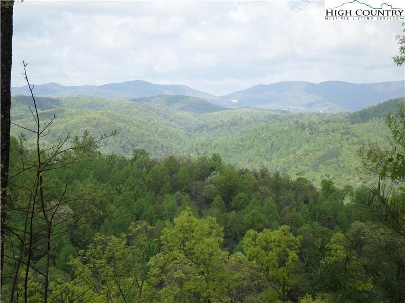 50/51 LAST CHANCE ROAD, Ferguson, NC 28624 Land For Sale  MLS# 245661