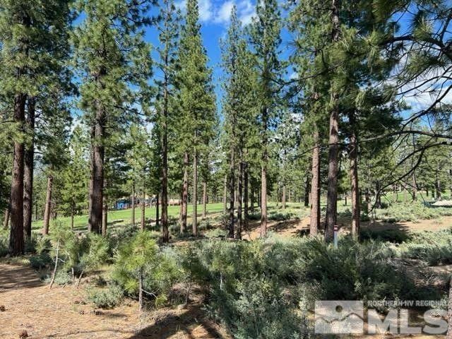 Carson City, Douglas County, NV Undeveloped Land, Homesites for sale Property ID: 416652814