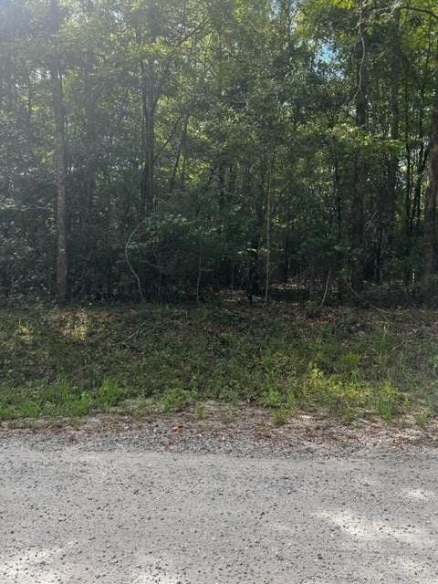Hamilton, Harris County, GA Undeveloped Land for sale Property ID: 417606893
