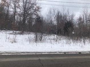 /2 Mile Rd, Battle Creek, MI 49014 - MLS 22002949 for Sale