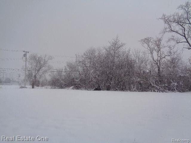 Detroit, Wayne County, MI Undeveloped Land, Homesites for sale Property ID: 415737238