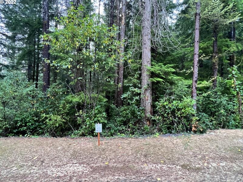 Little Woahink Dr #21, Florence, OR 97439 - MLS 22280088 for Sale