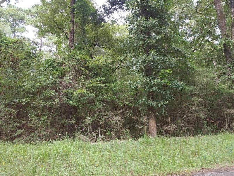000 Wampum, Livingston, TX 77351 for Sale