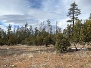 2180 W Whispering Springs, Show Low, AZ 85901 - MLS 249084 for Sale