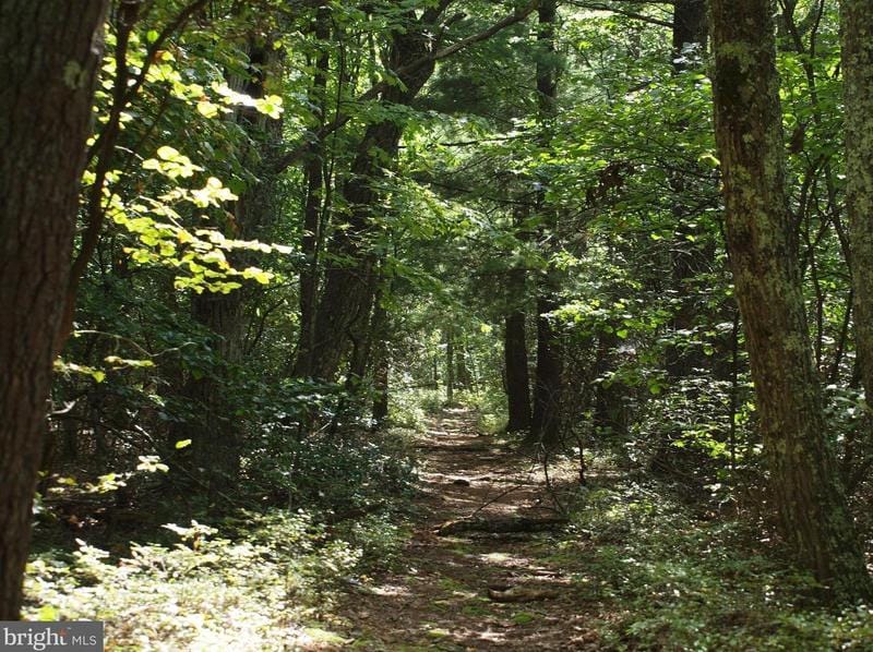Lot 7 N Dolly Hill Rd, Riverton, WV 26814 - MLS WVPT2000306 for Sale