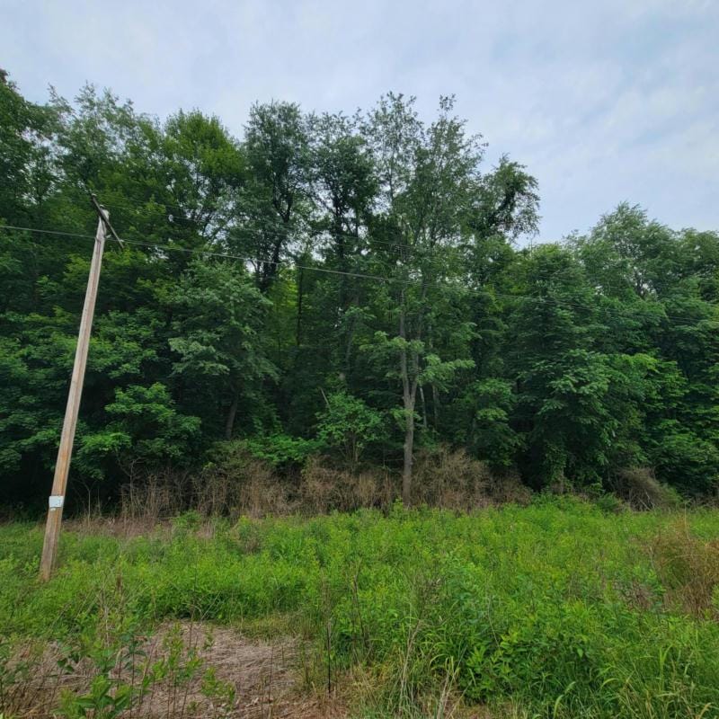 0 BRUSHY FORK ROAD, Newark, OH 43055 Farm For Sale  MLS# 223018696 for Rent