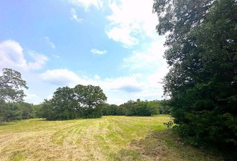 TBD CR 1404 Lot 17, Athens, TX 75751 for Sale