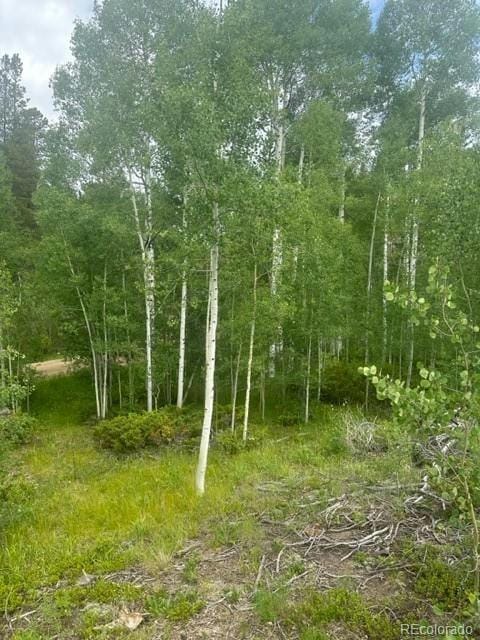 842 ELKDALE DR, Tabernash, CO 80478 Land For Sale  MLS# 8726877