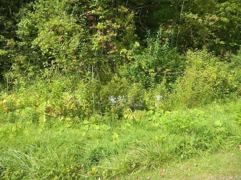 Lot 477 Sherbrook Dr, Goshen, CT 06756 - MLS 170437740 for Sale