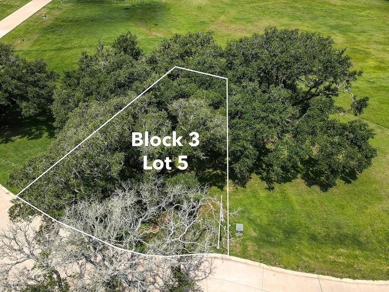 2418 Oak Hollow Lane, Brenham, TX 77833 for Sale