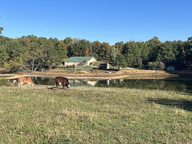 Mountain View, Howell County, MO House for sale Property ID: 418039235