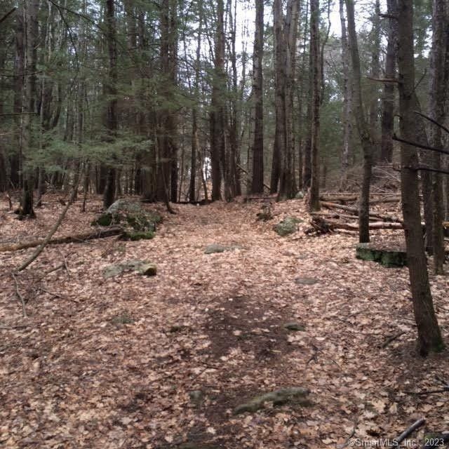 Hartland, Hartford County, CT Undeveloped Land, Lakefront Property, Waterfront Property for sale Property ID: 416795380