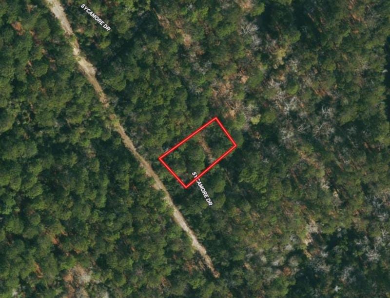 TBD Sycamore Dr, Brookeland, TX 75931 for Sale