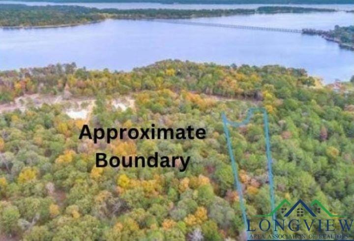 3101 SHADOW PINE DR, La Rue, TX 75770 Land For Sale  MLS# 20232113