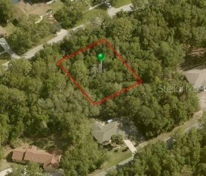 Citrus Springs, Citrus County, FL Undeveloped Land, Homesites for sale Property ID: 417957749