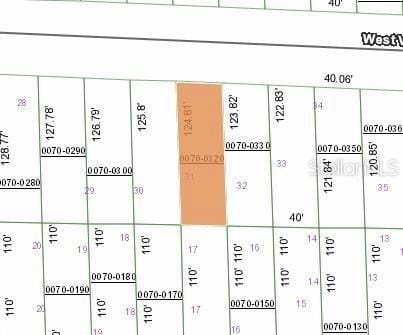 125 W VIRGINIA ST, HAWTHORNE, FL 32640 Land For Sale  MLS# FC296223