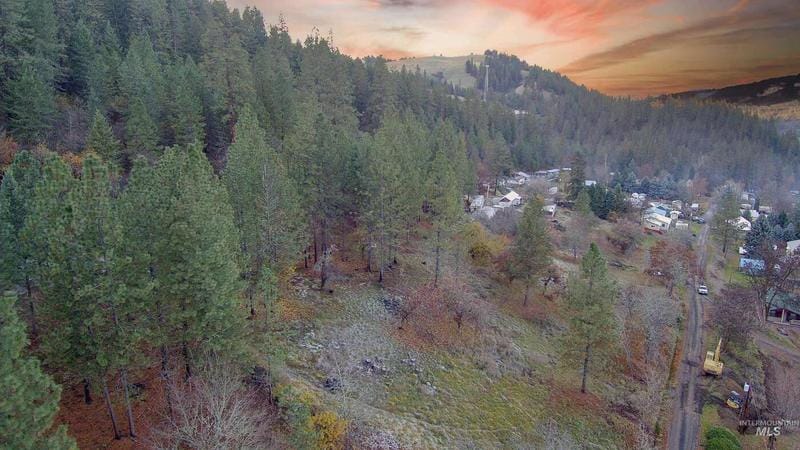 Tbd Pine St Blk 56, Lot 2, Peck, ID 83545  609514853 for Sale