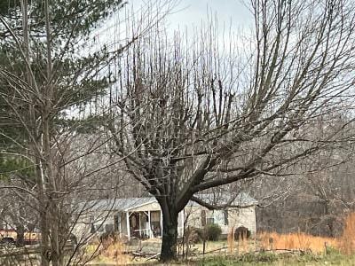 Leon Smith Ln for Sale