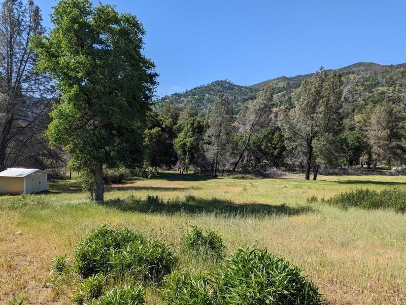 1460 Hwy 16, Rumsey, CA 95679 - MLS 223038631 for Sale