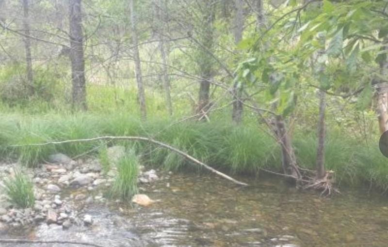 Weaverville, Trinity County, CA Recreational Property, Riverfront Property, Waterfront Property for sale Property ID: 417867220