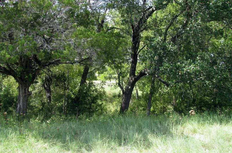 369 Private Road 305 Ln, Gatesville, TX 76528 for Sale