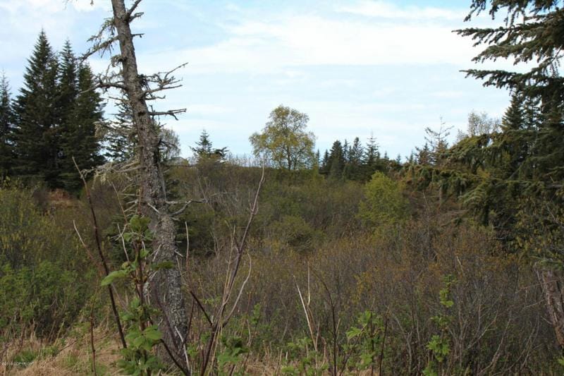 17232 HYILA LANE, Ninilchik, AK 99639 Land For Sale  MLS# 19-10165