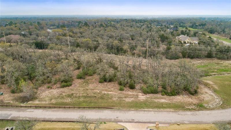5205 Ruddy Duck Drive, College Station, TX 77845 for Sale