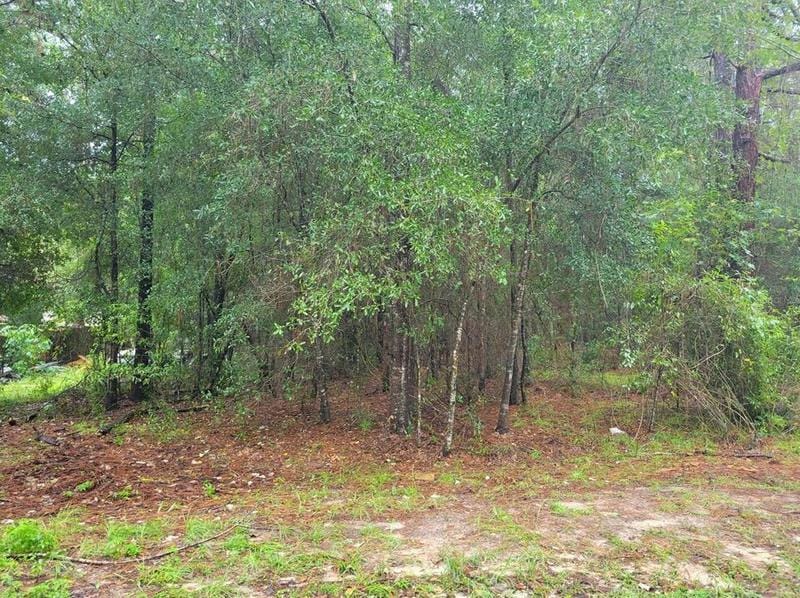SW 141 Terrace, Ocala, FL 34481 - MLS OM663853 for Sale
