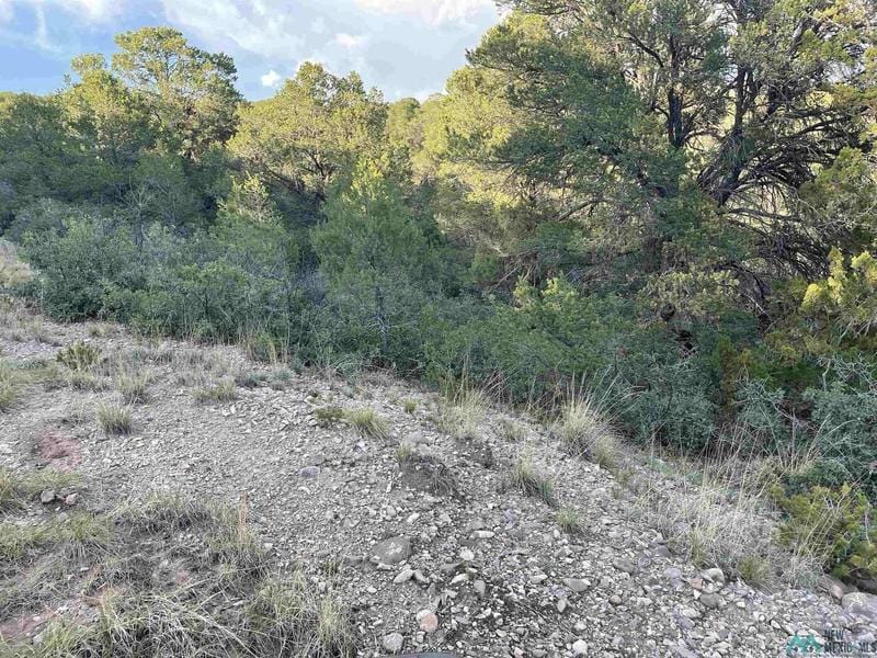 33 Wilde Street, Timberon, NM 88350  617762416 for Sale