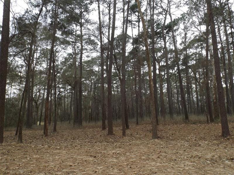 Lot 3 Block 3 Crooked Creek, Hockley, TX 77447 for Sale