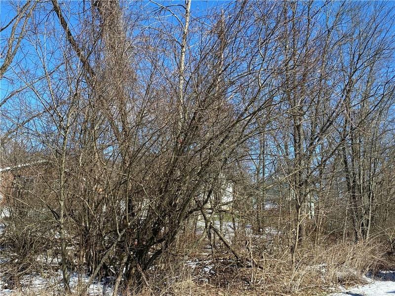 0 MCKRELL RD. Russellton, PA 15076 Farm For Sale  MLS# 1597196 for Rent