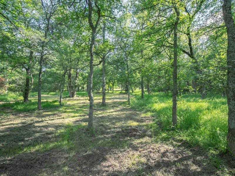 TBD CR 2208, Greenville, TX 75402 for Sale