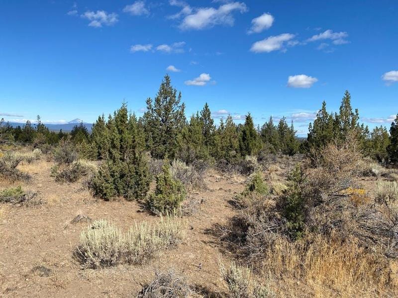 Terrebonne, Deschutes County, OR Undeveloped Land for sale Property ID: 418438825