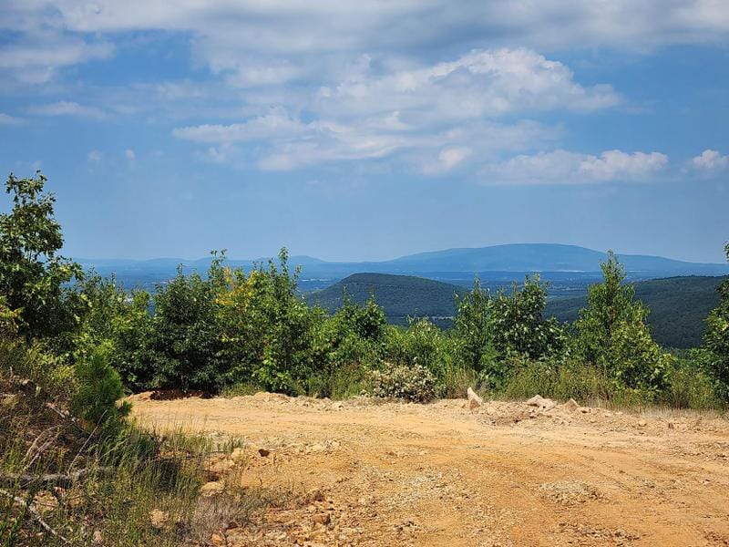 Heavener, Le Flore County, OK Recreational Property, Undeveloped Land, Hunting Property for sale Property ID: 417539017
