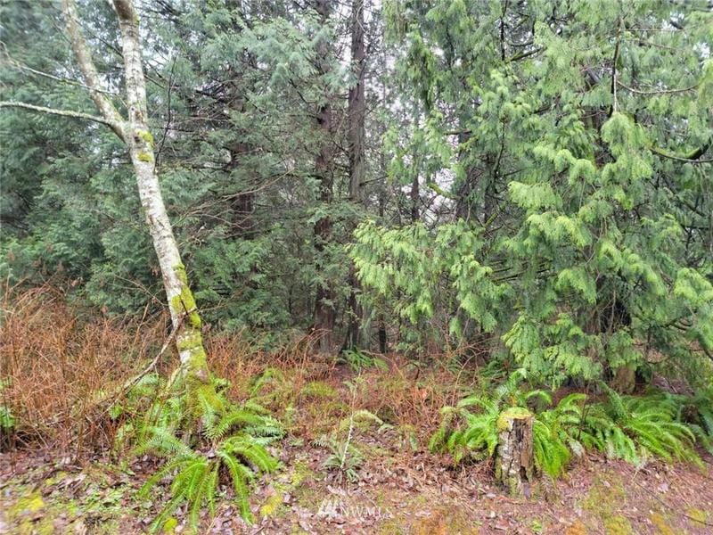 0 FISHERMANS BEND LANE, Blaine, WA 98230 Land For Sale  MLS# 1878208