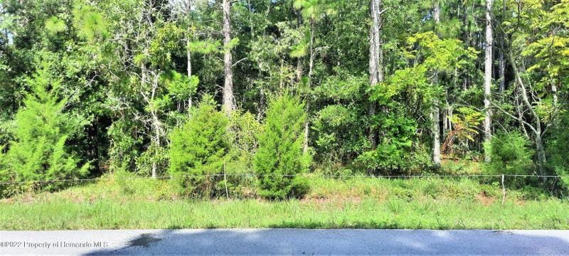 Spring Hill, Hernando County, FL Undeveloped Land, Homesites for sale Property ID: 414214260