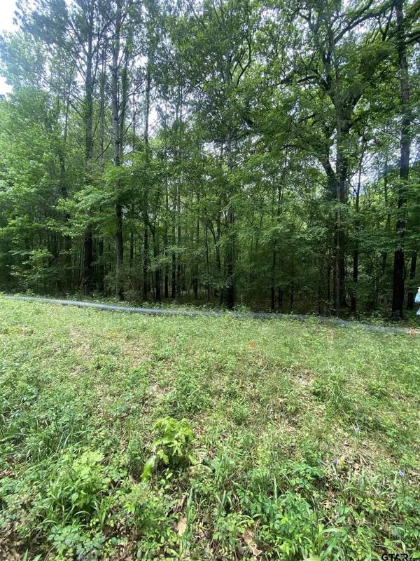 TBD Taylor RD, Marshall, TX 75670 for Sale
