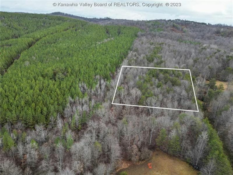 0 GREAVES RUN, Newark, WV 26143 Land For Sale  MLS# 269148
